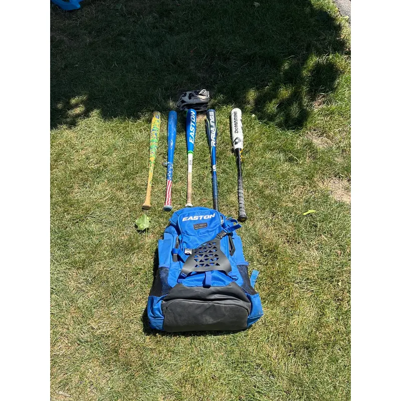A Rawlings glove, a eastonspeed, a Rawlings, a DeMarini and two wooden bats