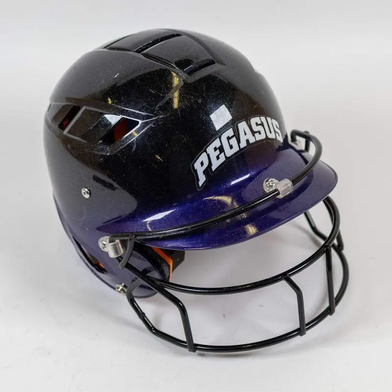 Schutt Air 4.2 OSFM Junior Purple Softball Batting Helmet
