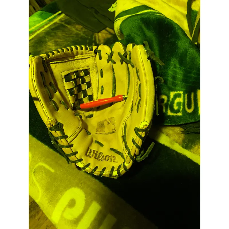 Used Wilson A2450 Baseball Glove
