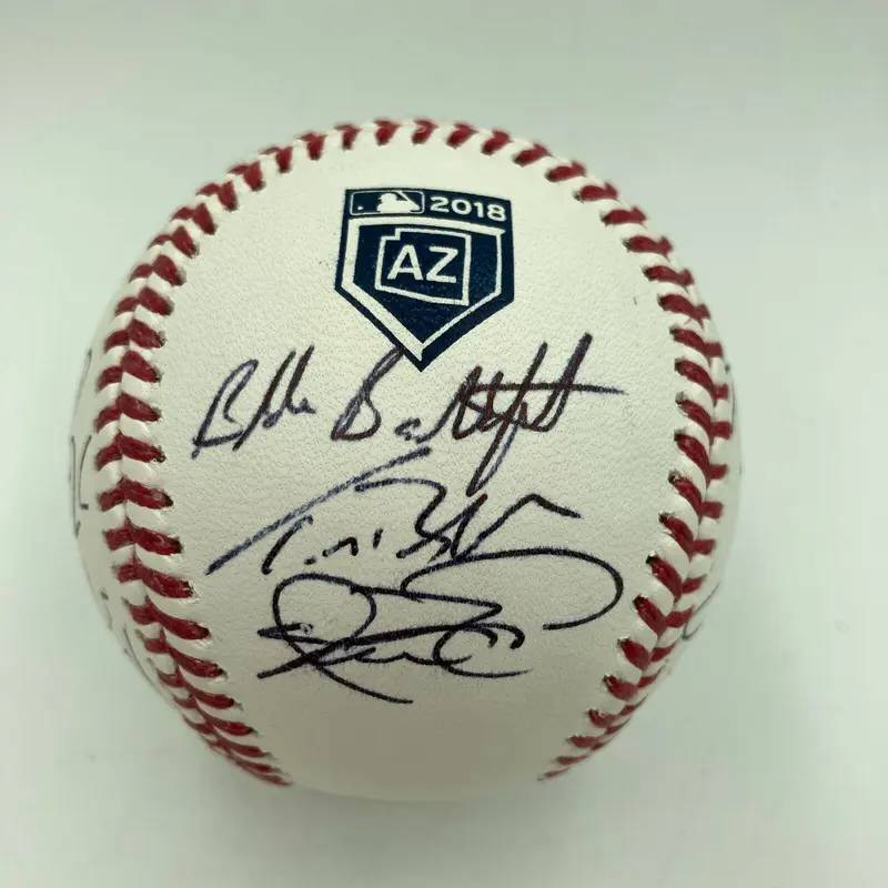 2018 Chicago White Sox Team Signed Official Major League Baseball