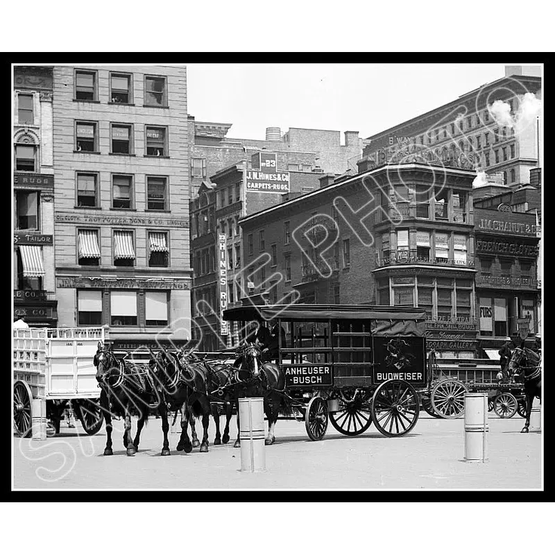 Budweiser Beer Wagon 8X10 Photo - New York 1908 - 2218