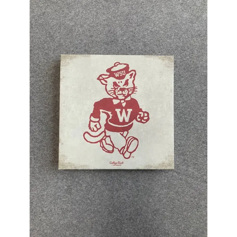Butch canvas 9x9