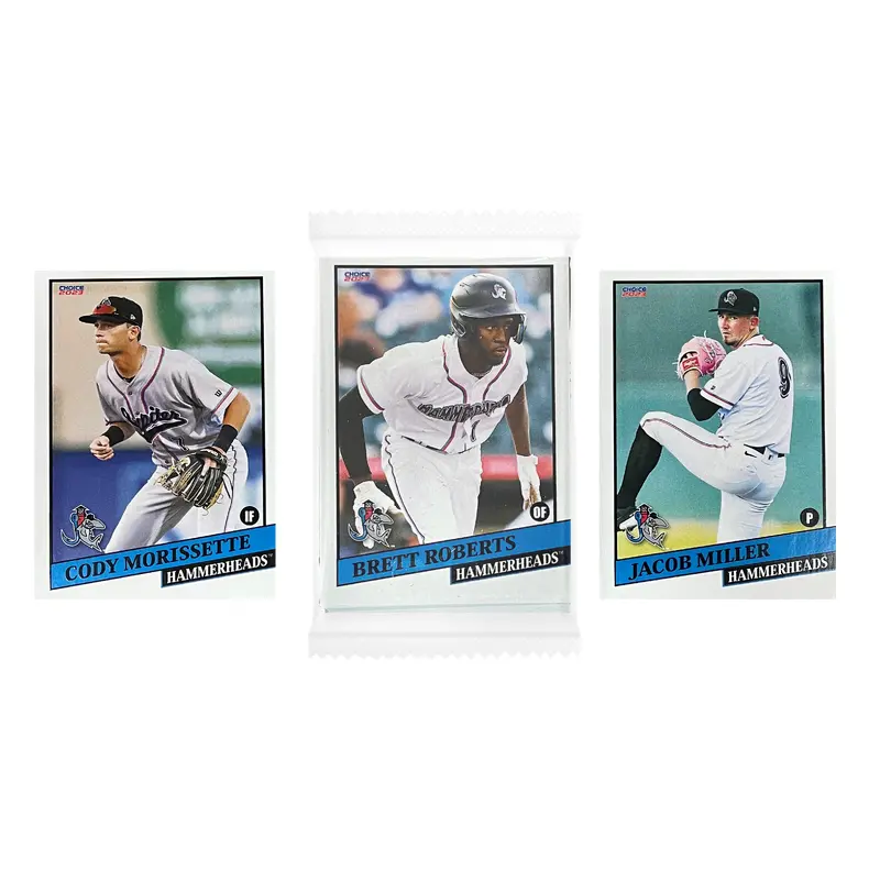 2023 Jupiter Hammerheads Team Set