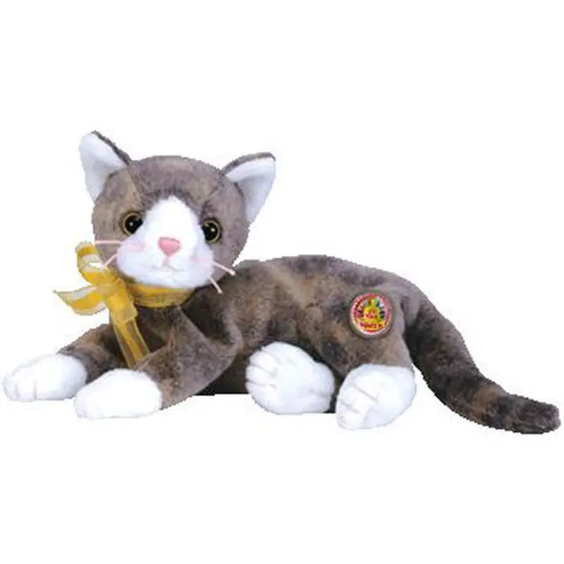 Cappuccino the Cat