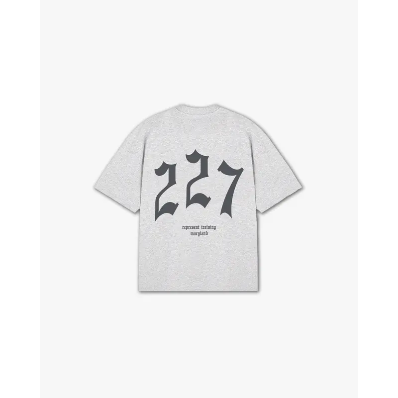 THE (227) VANQUISH TRAINING V2 ELITE TEE
