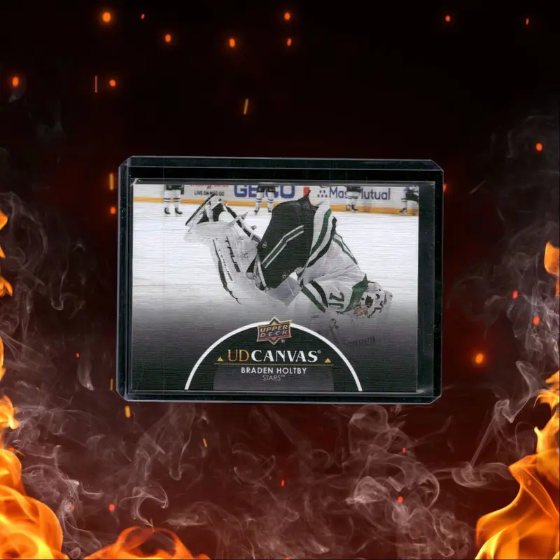 2021-22 Upper Deck UD Canvas Black Braden Holtby #C295