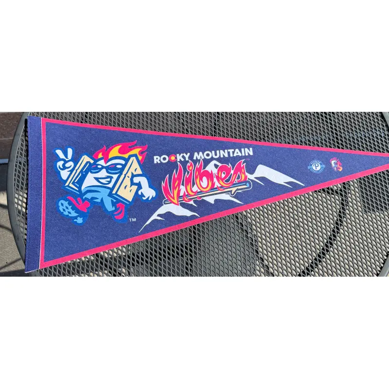 Navy Vibes Pennant