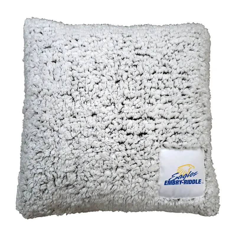 Embry Riddle Aeronautical - Daytona Beach Frosty Throw Pillow