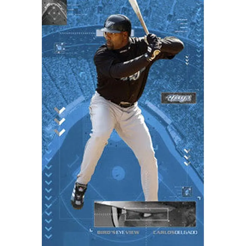 Carlos Delgado "Bird's Eye View" Toronto Blue Jays Poster - Costacos 2004