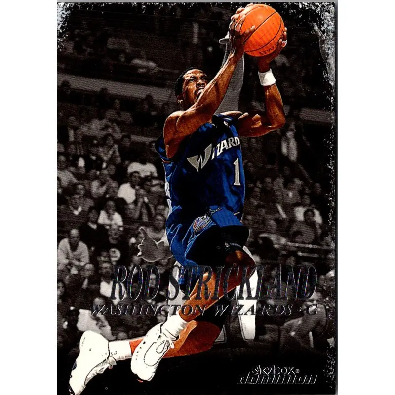 1999 SkyBox Washington Wizards #