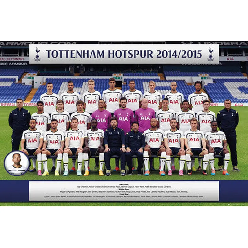 Tottenham Hotspur FC Official Team Portrait 2014/15 Poster - GB Eye (UK)