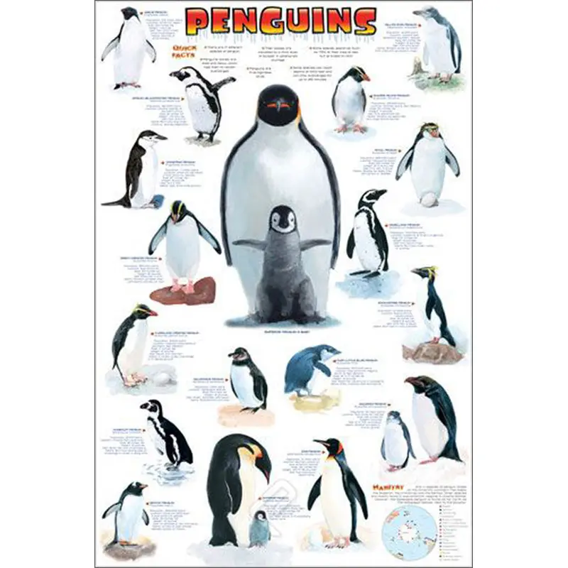 The Penguins Poster Zoology Reference Wall Chart Poster - Eurographics Inc.