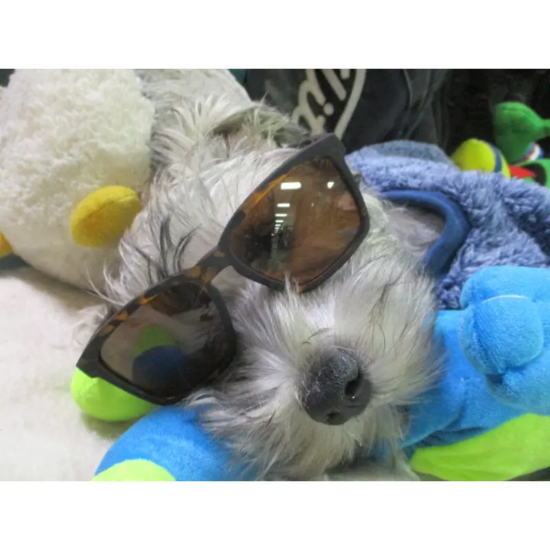 New Goodr Smaller is Baller Sunglasses