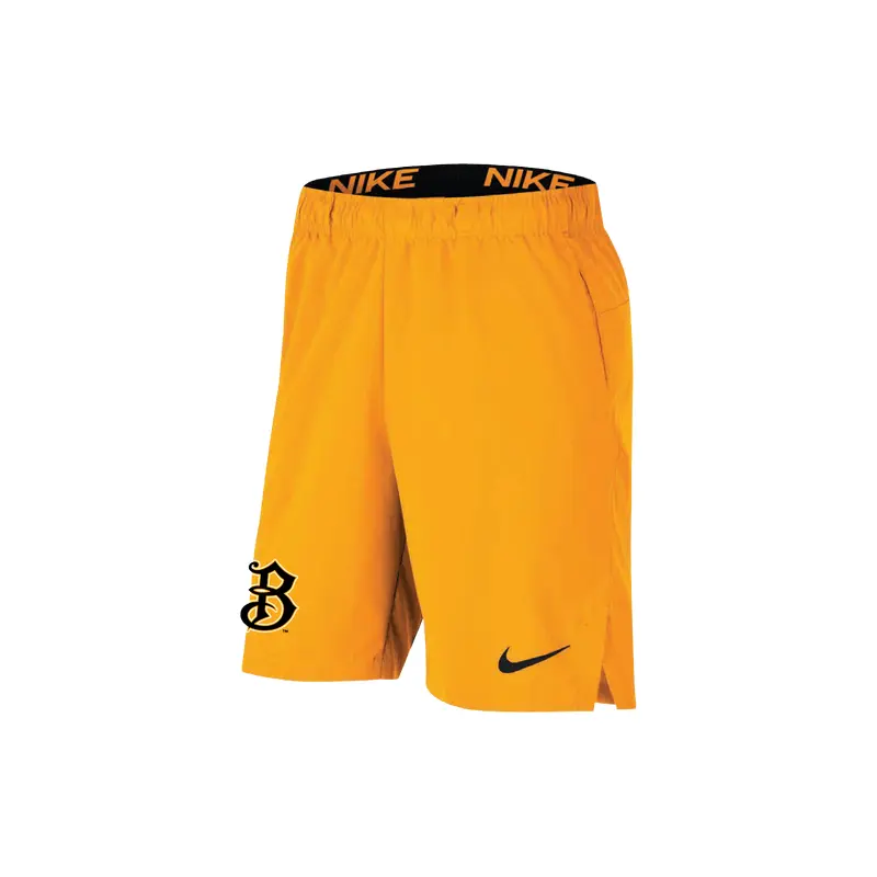 Nike Dri-Fit On Field Shorts