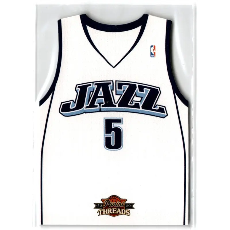 2009 Panini Threads Team Carlos Boozer #48