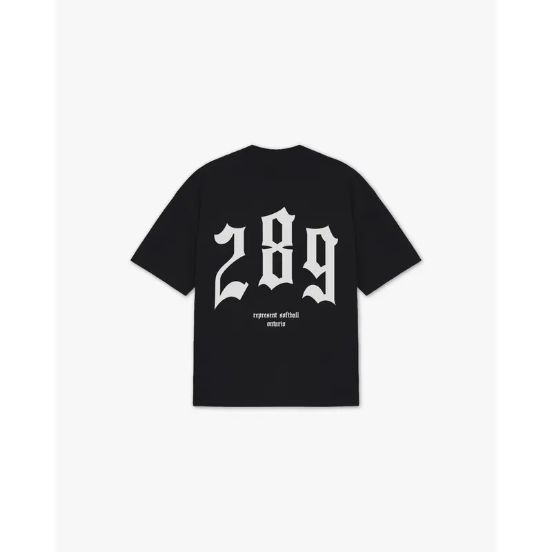 THE (289) VANQUISH SOFTBALL V2 ELITE TEE