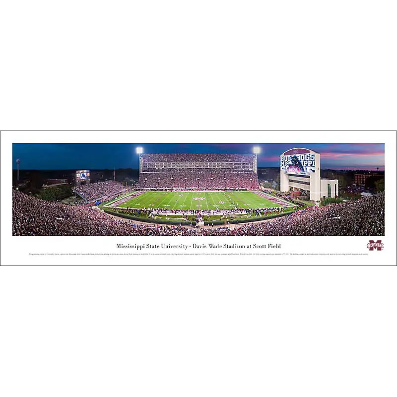 Mississippi State Bulldogs Football Game Night Panoramic Poster Print - Blakeway 2009