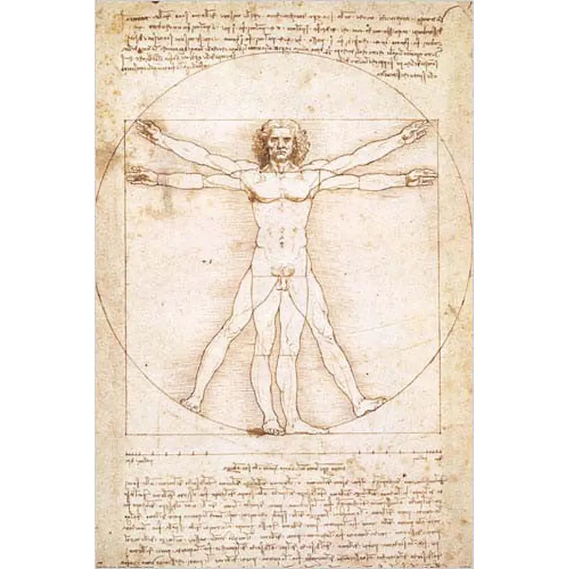 Vitruvian Man (c.1490) by Leonardo Da Vinci Poster Print - Eurographics Inc.