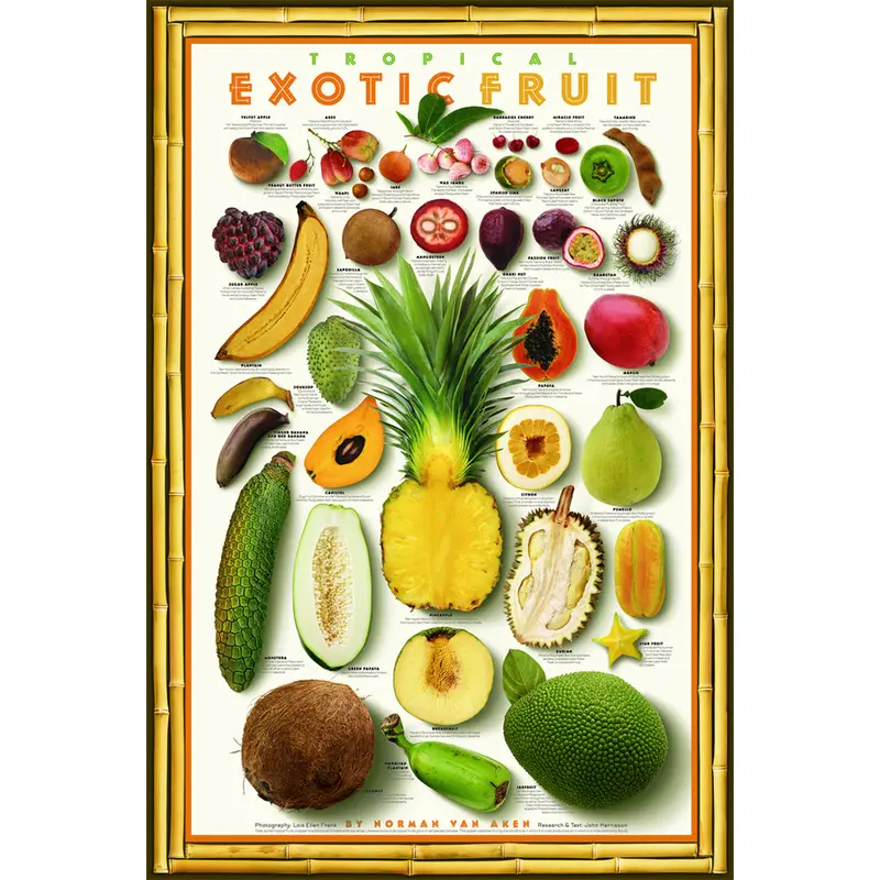 Tropical Exotic Fruits Wall Chart Poster by Norman Van Aken - American Image