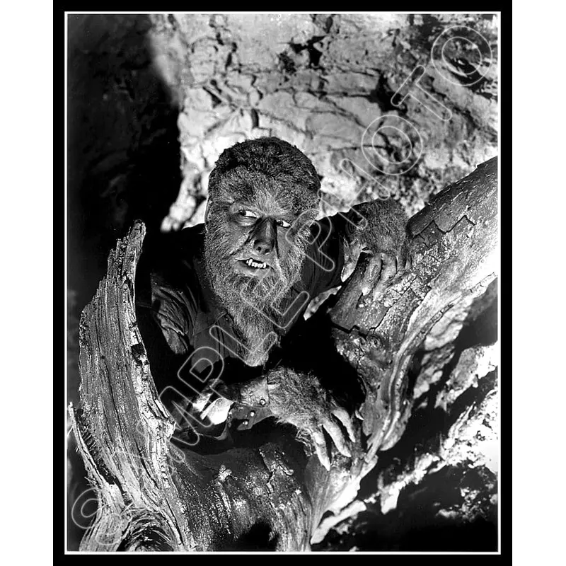 1941 Lon Chaney Jr 8X10 Photo - The Wolf Man - 3153