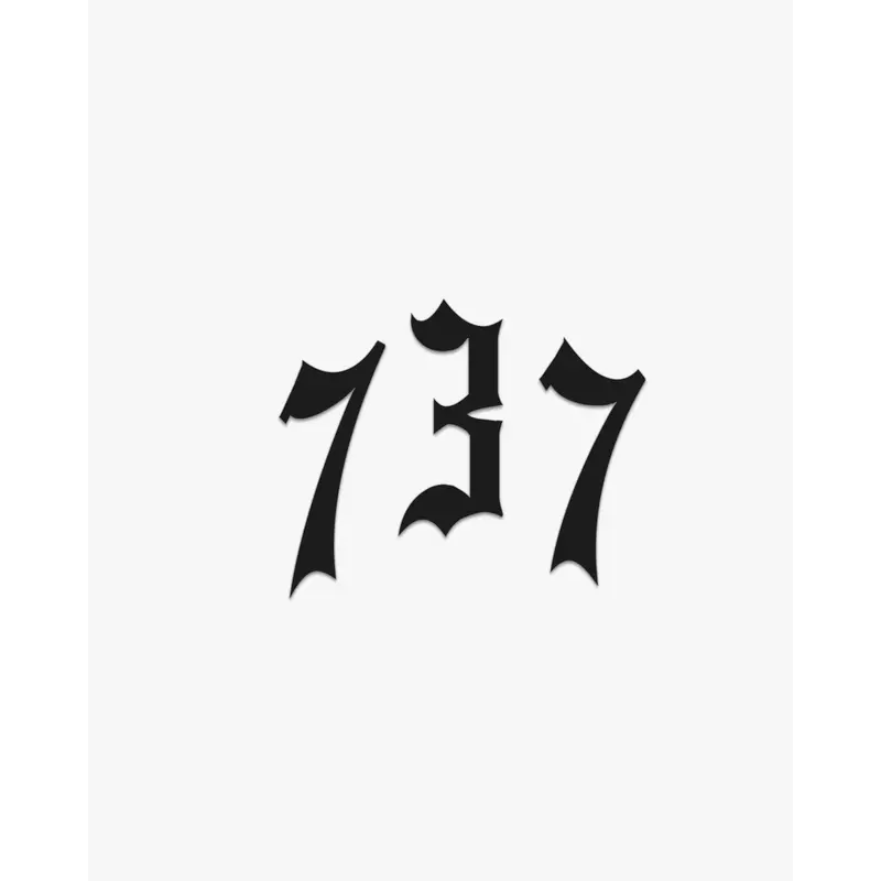 THE (737) VANQUISH PREMIUM DECAL