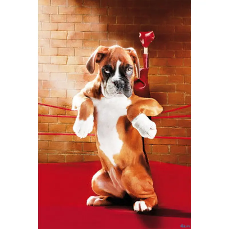 Boxer Dog in the Boxing Ring Poster - Wizard & Genius