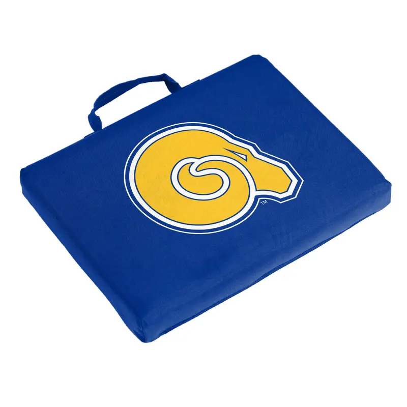 Albany State Bleacher Cushion