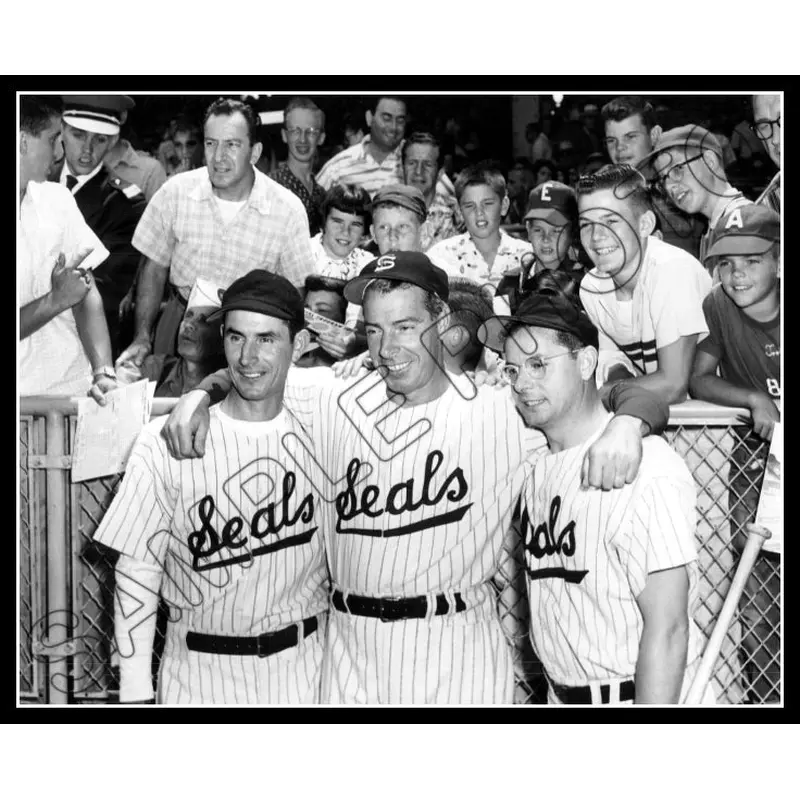 Dimaggio Brothers 8X10 Photo - 1956 Joe Dom Vince - 1703