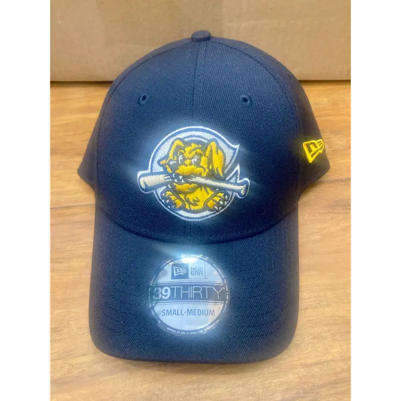 Charleston RiverDogs New Era 39THIRTY Home Flex'Fit Cap