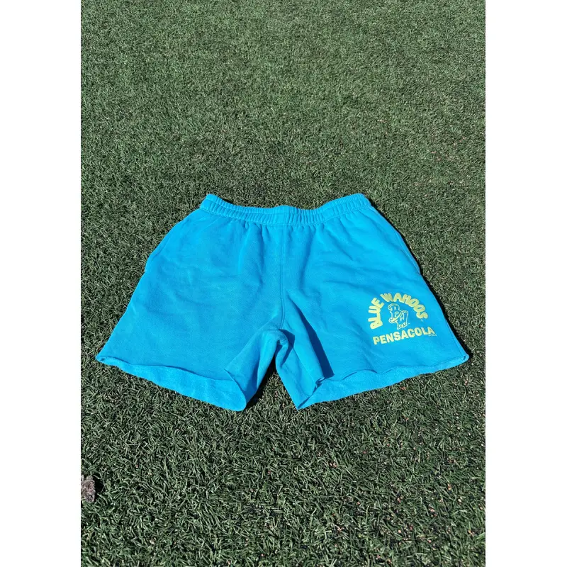 Pensacola Blue Wahoos '47 Brighten Up Venice Mullets Shorts