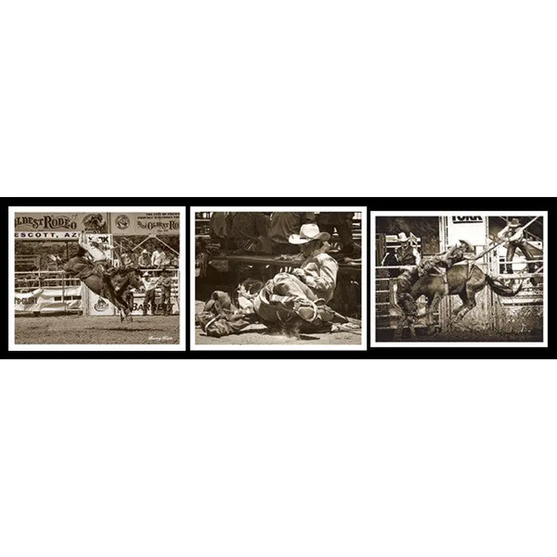 Rodeo Photography by Barry Hart 3-Poster Set - McGaw Graphics 2014