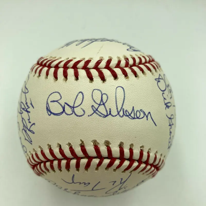 Beautiful 1964 St. Louis Cardinals World Series Champs Team Signed Baseball JSA