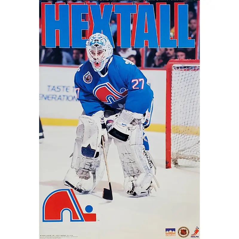 Ron Hextall "Action" Quebec Nordiques NHL Hockey Poster - Starline 1993