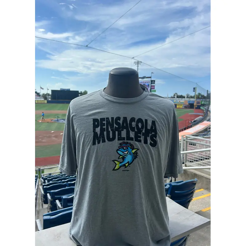 Pensacola Blue Wahoos Weathered Mullets Tee