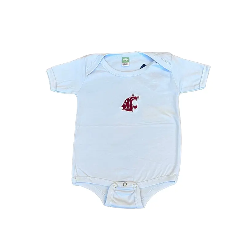 Blue Embroidered Baby Onesie