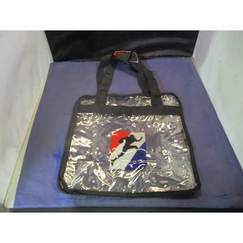 Clear Public Safety Bag - 12"x12"x6"