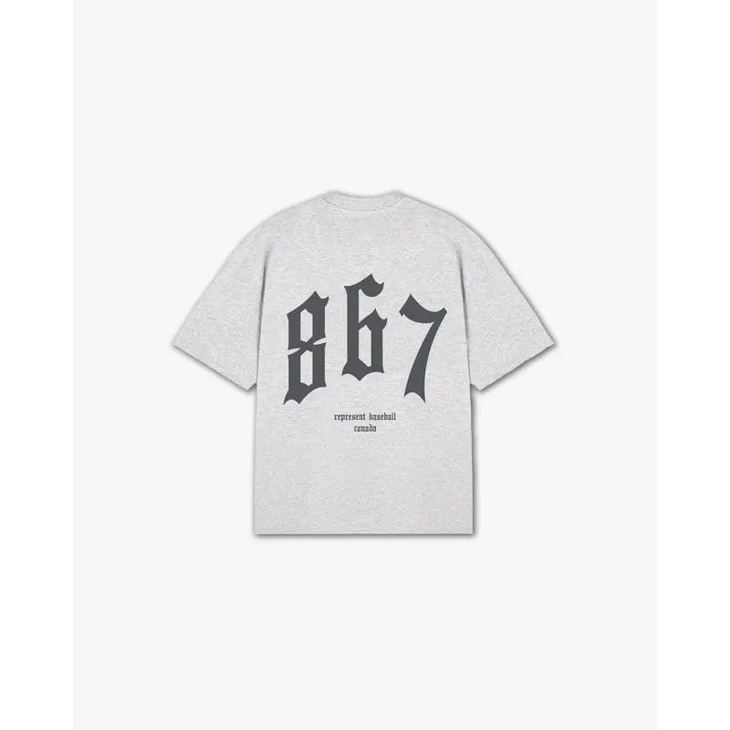 THE (867) VANQUISH BASEBALL V2 ELITE TEE