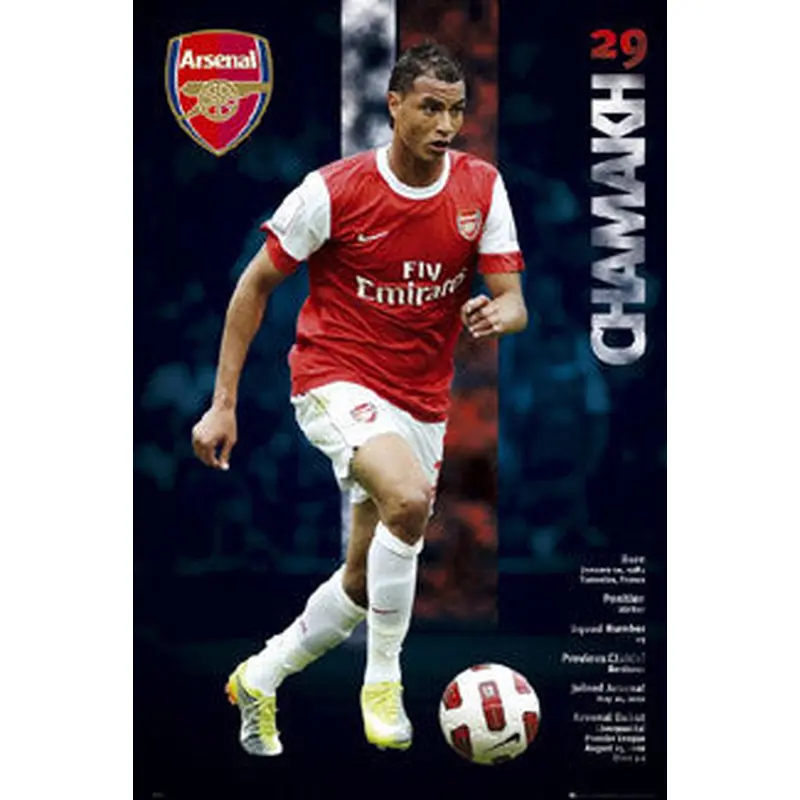 Marouane Chamakh "Arsenal Action" - GB Eye 2010