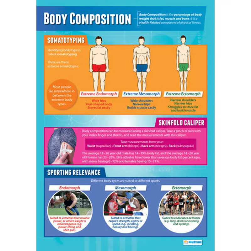 Physical Education BODY COMPOSITION Professional Fitness Wall Chart Poster - Posterfit